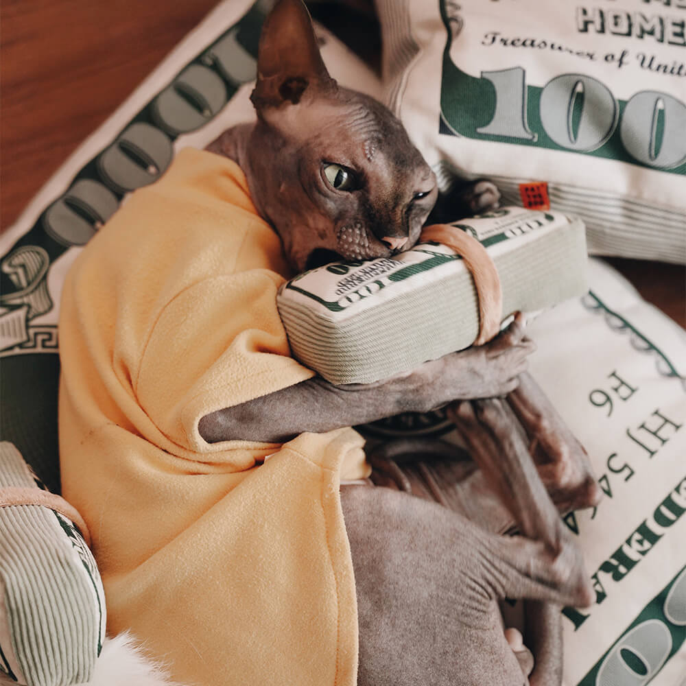 Cama para gatos temática de dinero de lona durable