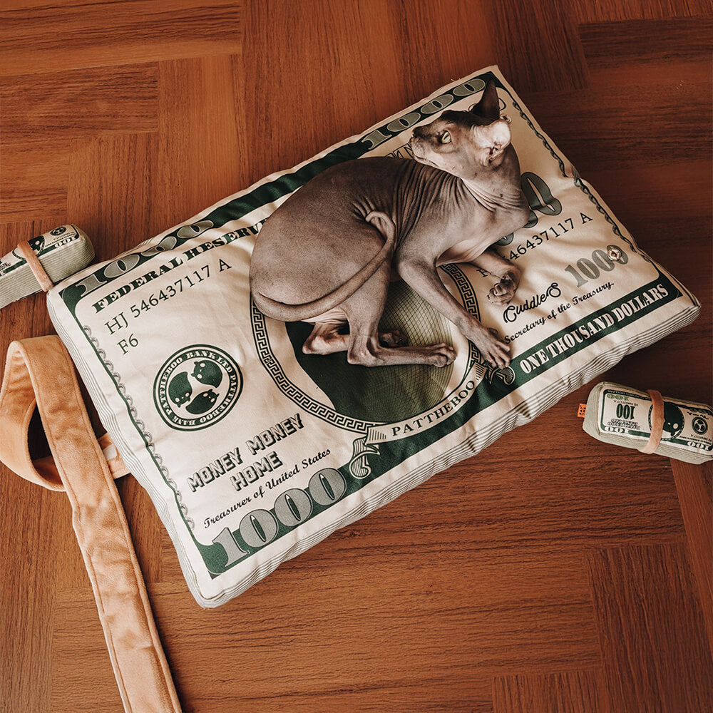 Cama para gatos temática de dinero de lona durable