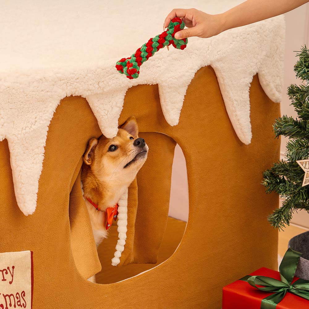 Casa de nieve de jengibre carpa mascota en grandes casas de perros desmenuzables