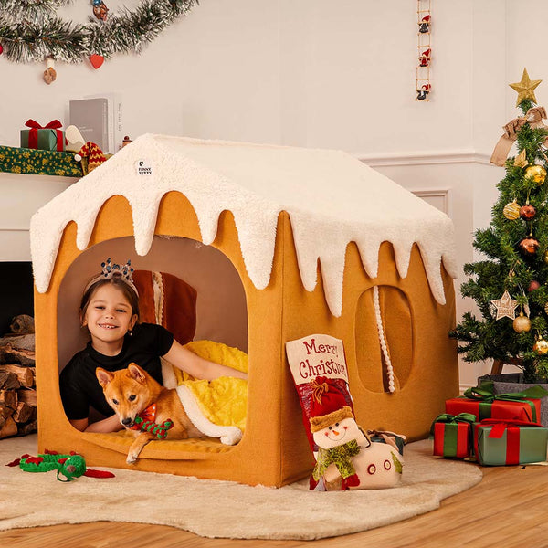 Casa de nieve de jengibre carpa mascota en grandes casas de perros desmenuzables