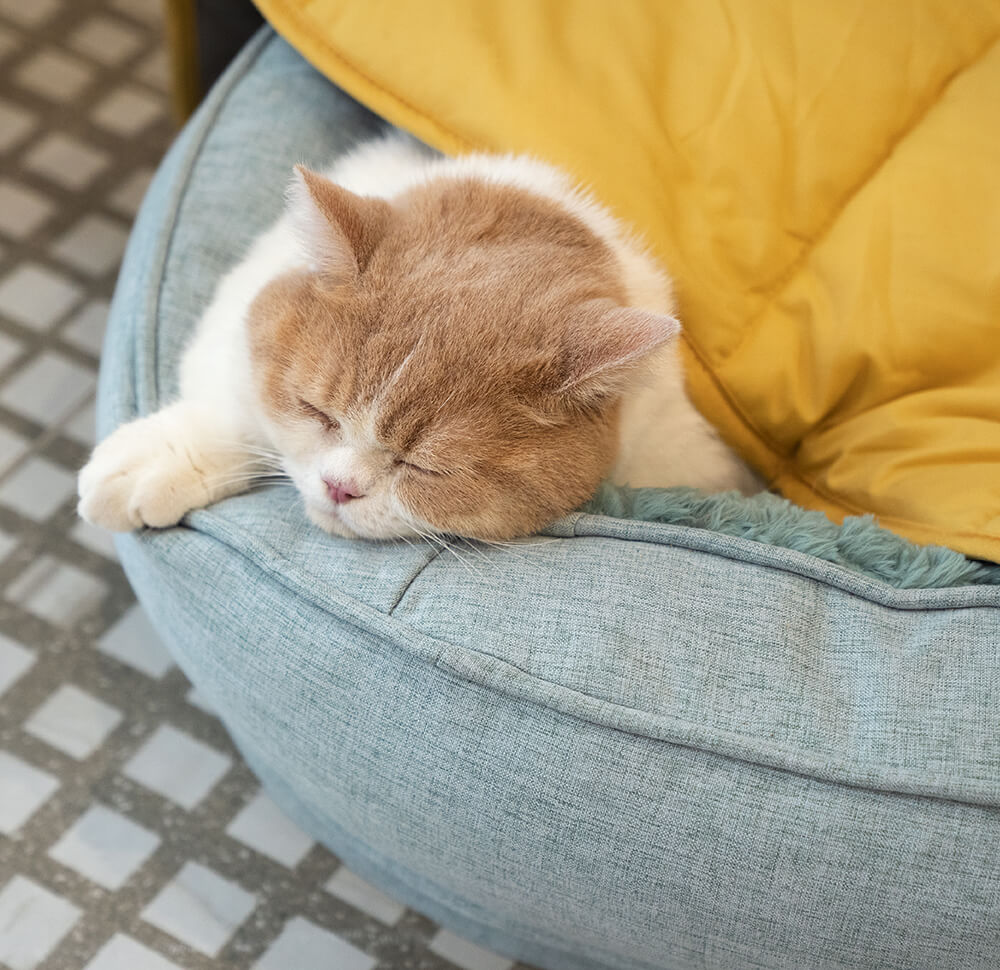 Protector de muebles lavable para todas las estaciones, mantas para camas de gatos