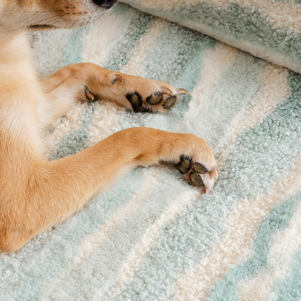 Sofá cama ortopédico acogedor para perros de lana de cordero sintética de estilo moderno