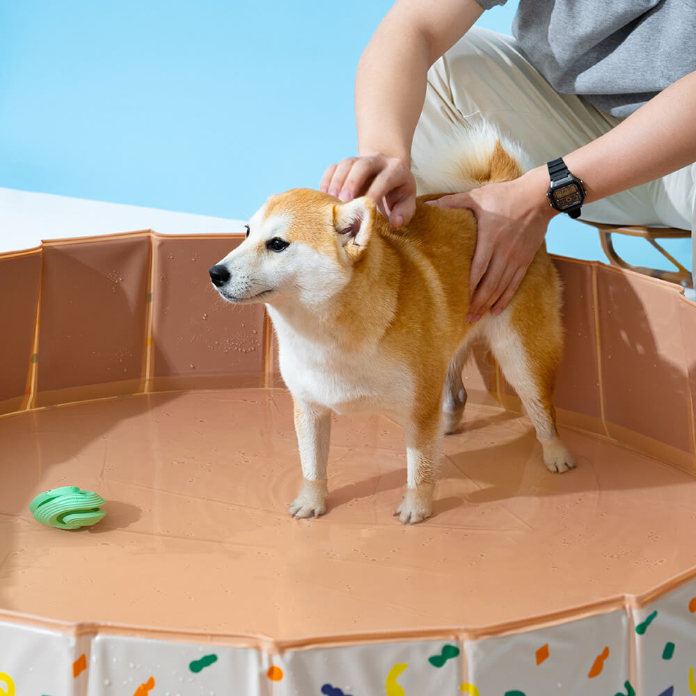 Piscina para perros portátil plegable al aire libre