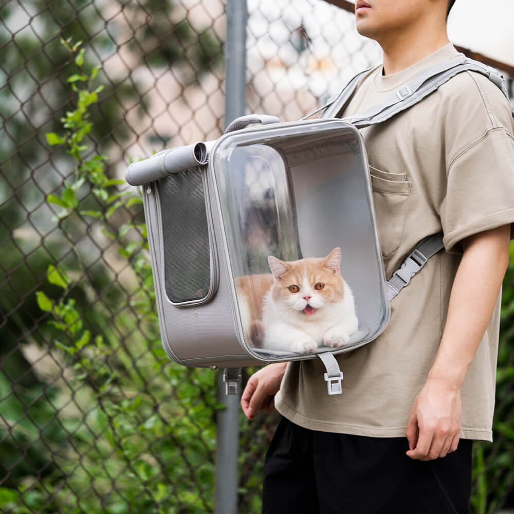 Mochila transparente con ruedas silenciosas para gatos, maletín con ruedas para mascotas de doble propósito