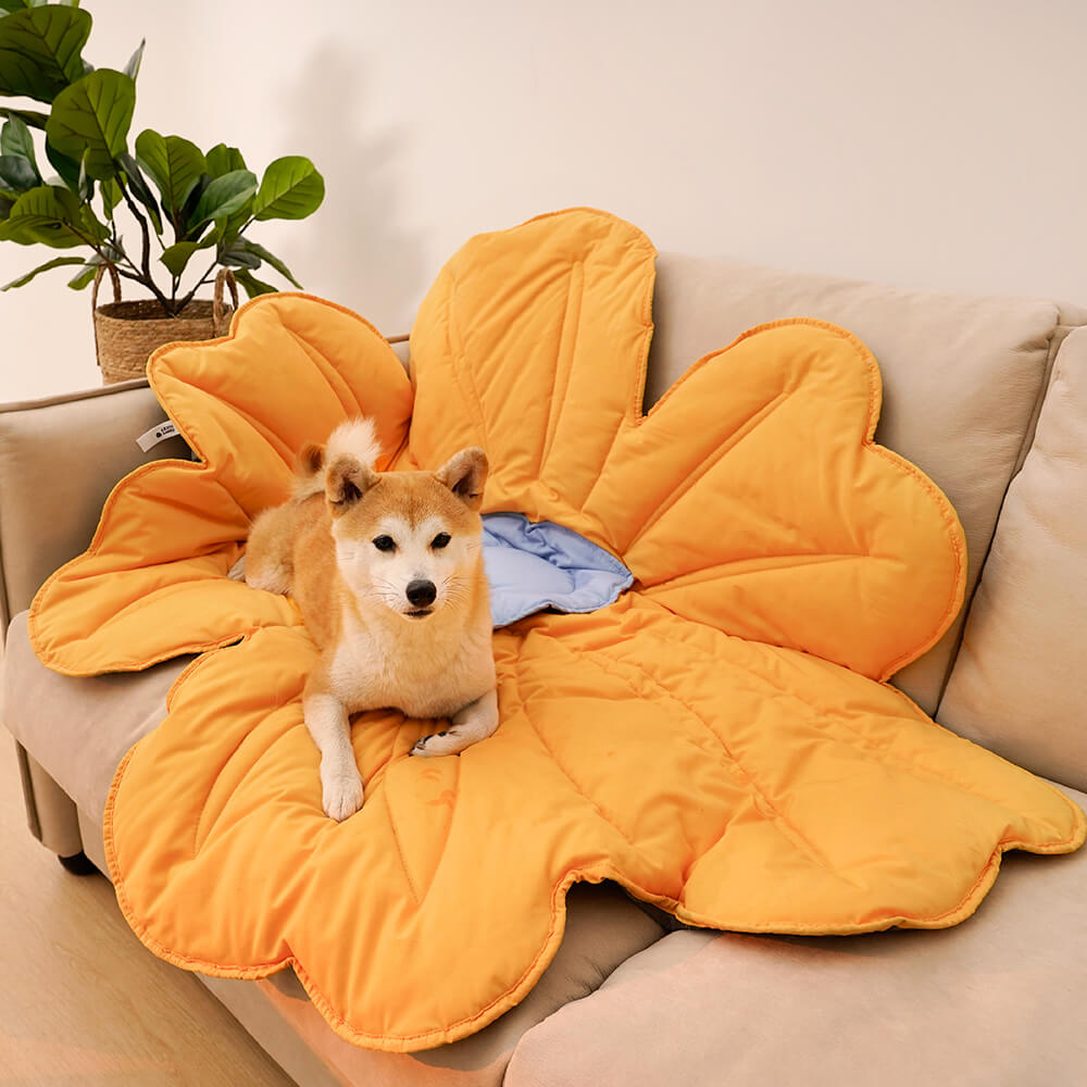 Manta grande en forma de flor para humanos y perros