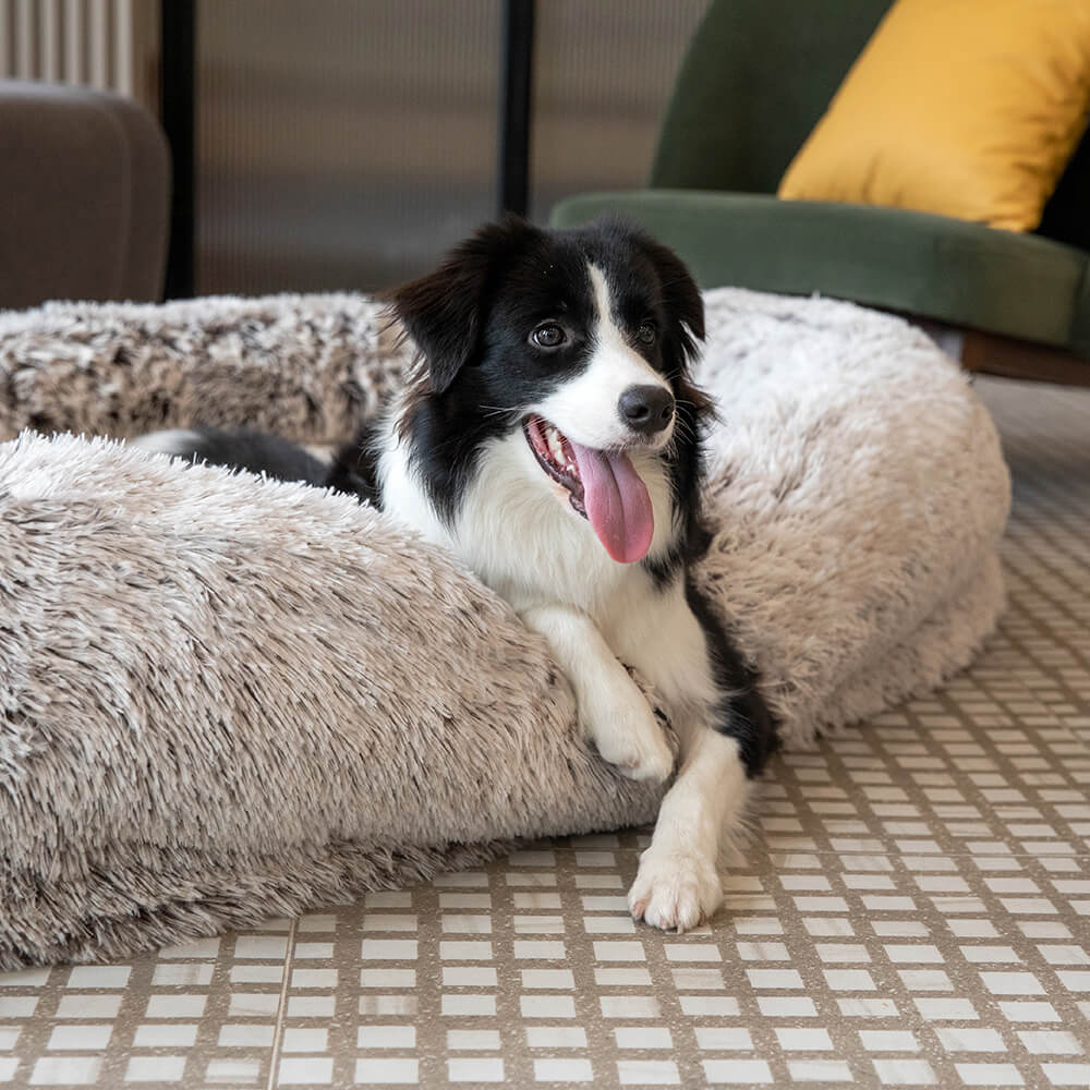 Cama de lujo súper grande para dormir más profundamente para humanos y perros