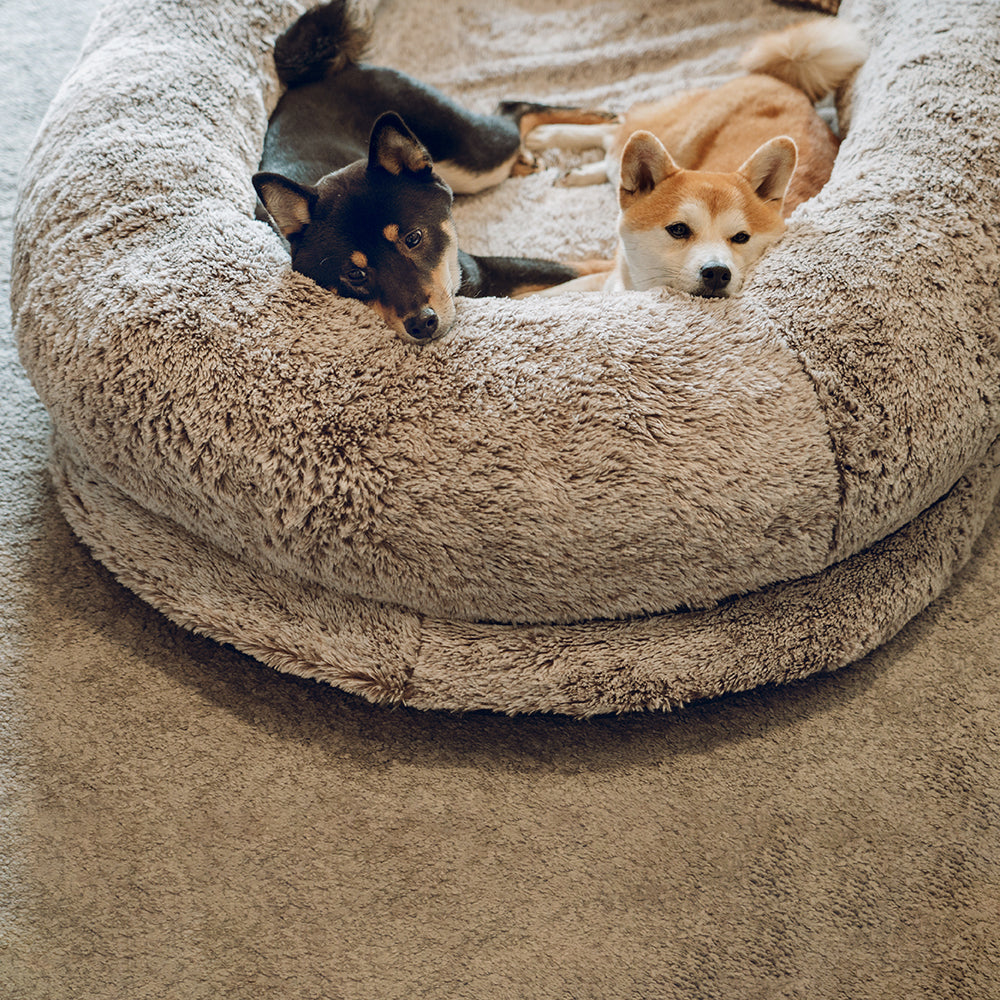 Cama de lujo súper grande para dormir más profundamente para humanos y perros