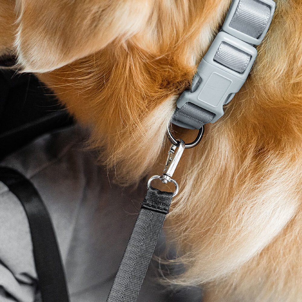 Cama de Asiento Trasero para Perros de Tamaño Mediano a Grande con Refuerzo para Viajes en Coche