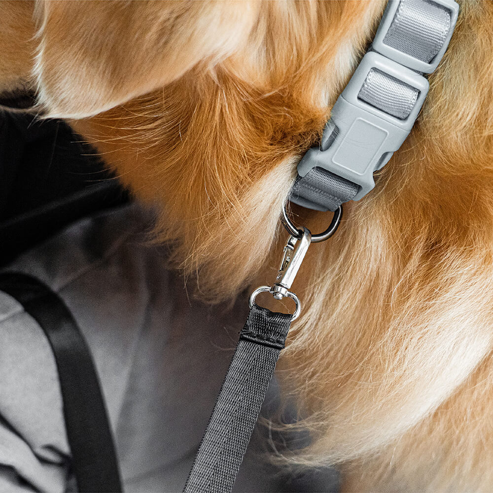 Cama de respaldo impermeable y segura para perros medianos y grandes para viajes en coche