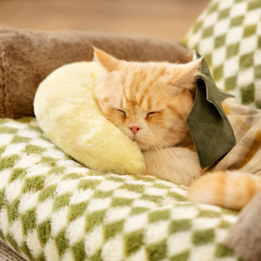 Almohada para mascotas linda y acogedora de moda