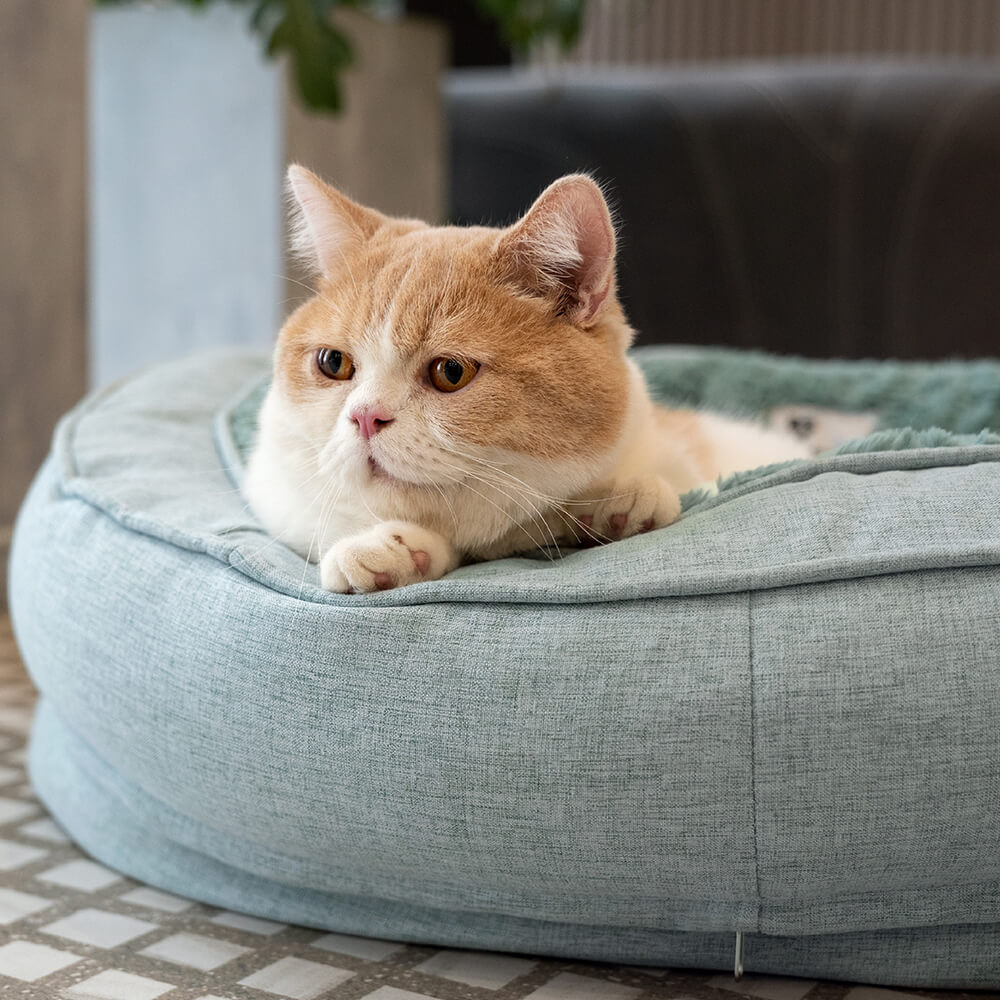 Cama ortopédica para perros en forma de dona