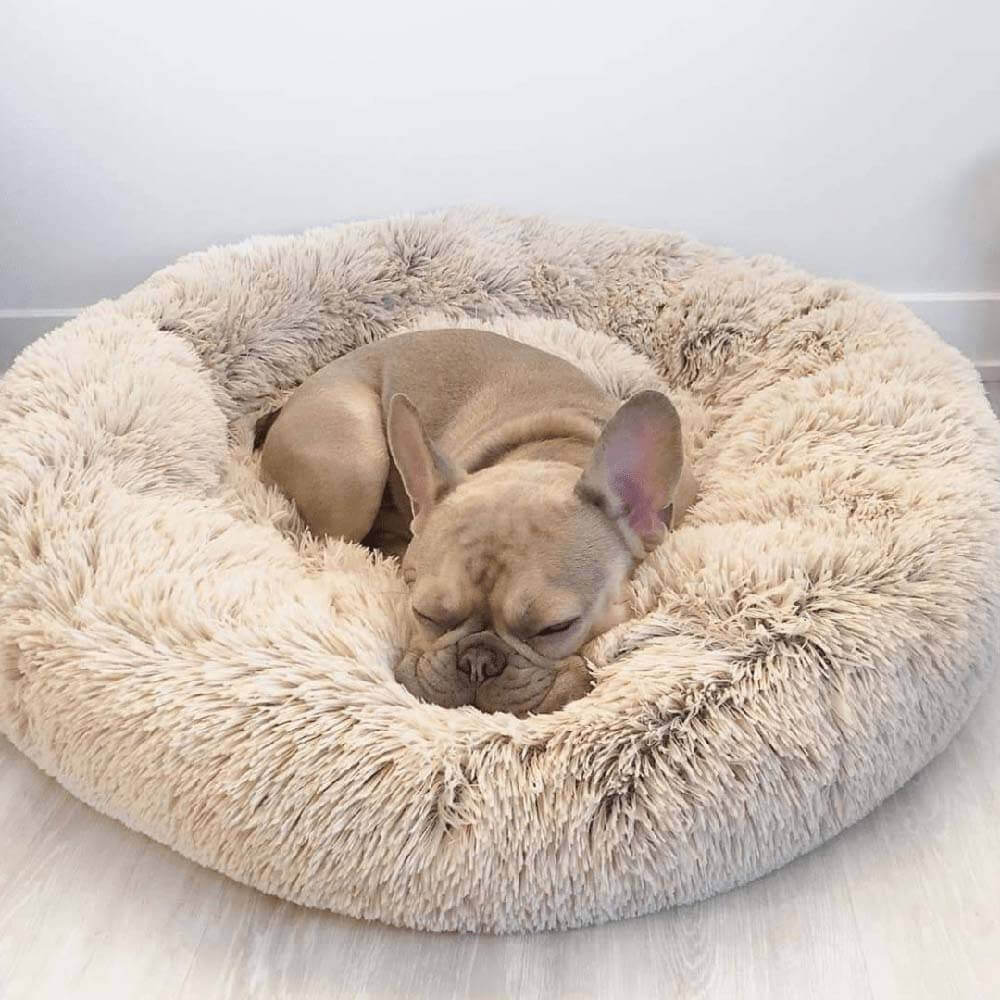 Cama para perros esponjosa y redonda