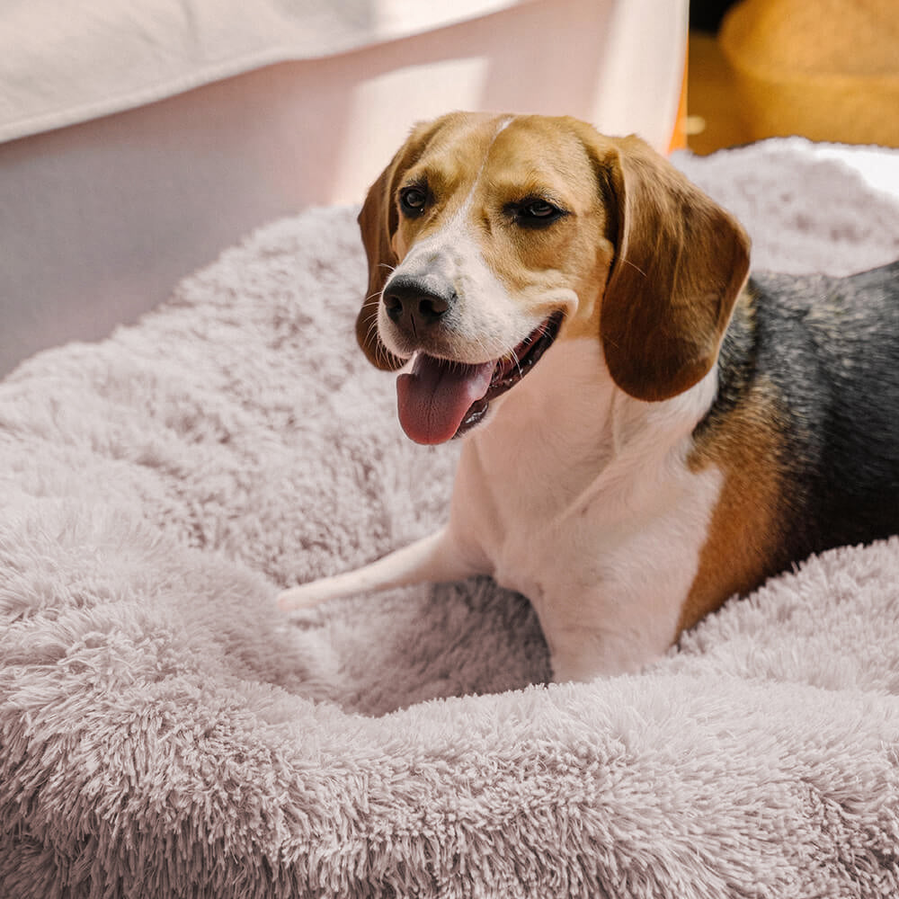 Cama para perros esponjosa y redonda