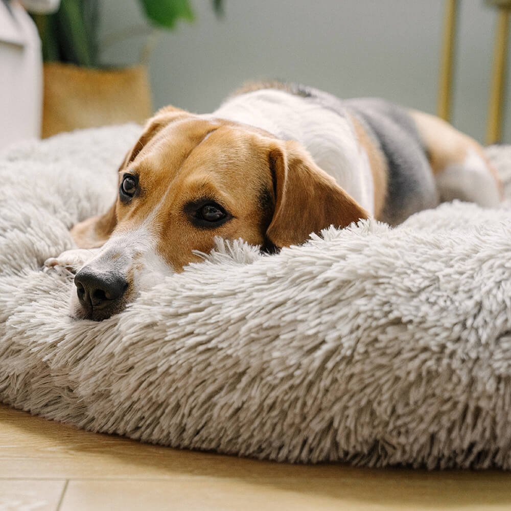 Cama para perros esponjosa y redonda