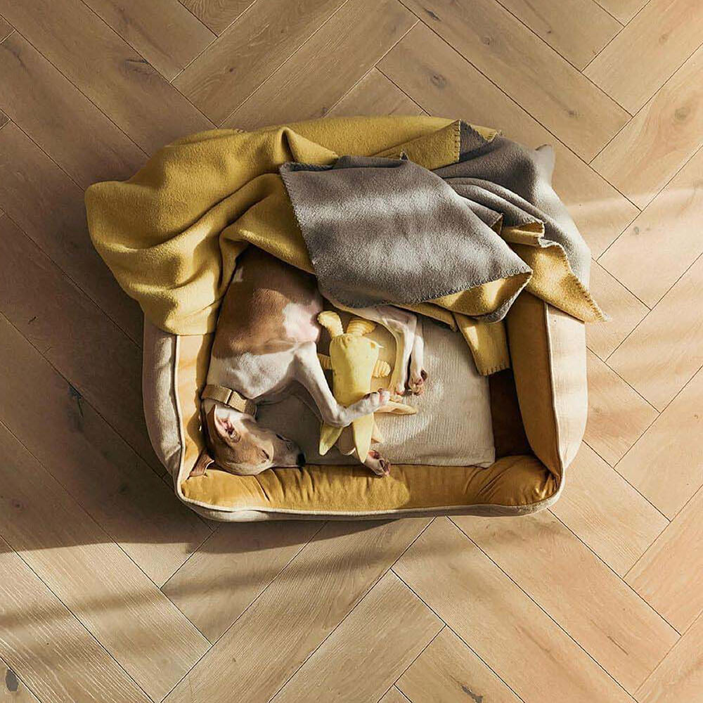 Cama para perros - Funda de cama cuadrada para pan