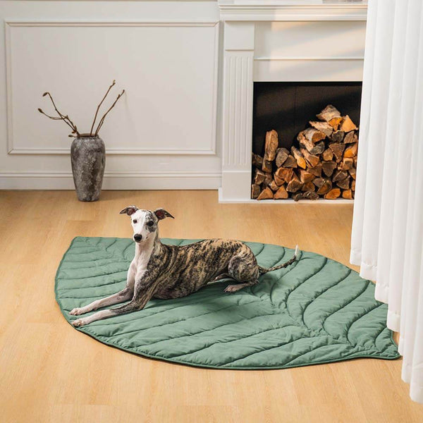 Forma súper grande de la hoja Mostora de perros humano