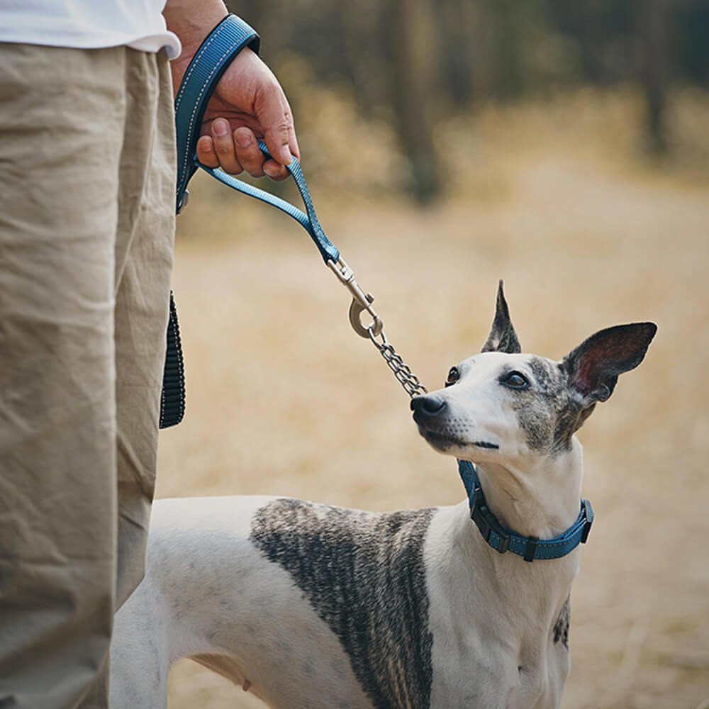 Collar y correa para perros antitirones reflectantes multifuncionales