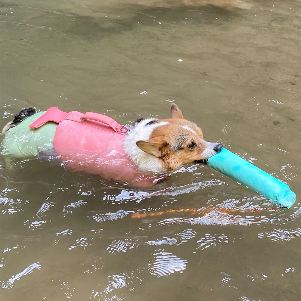 Juguetes interactivos al aire libre resistentes a tirar juguetes flotantes para perros