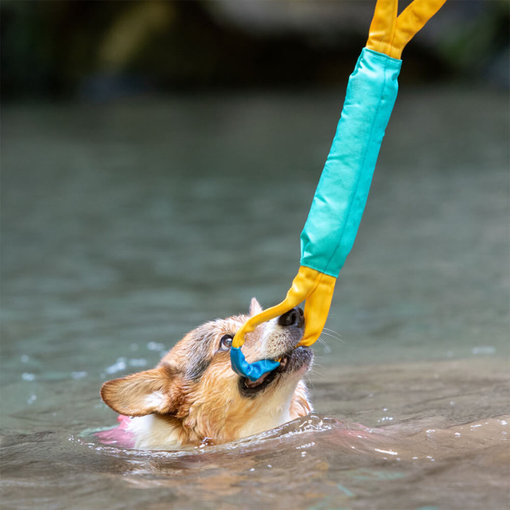 Juguetes interactivos al aire libre resistentes a tirar juguetes flotantes para perros