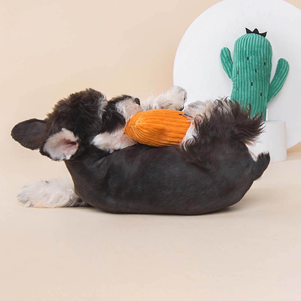 Juguete de peluche para perro - Cactus