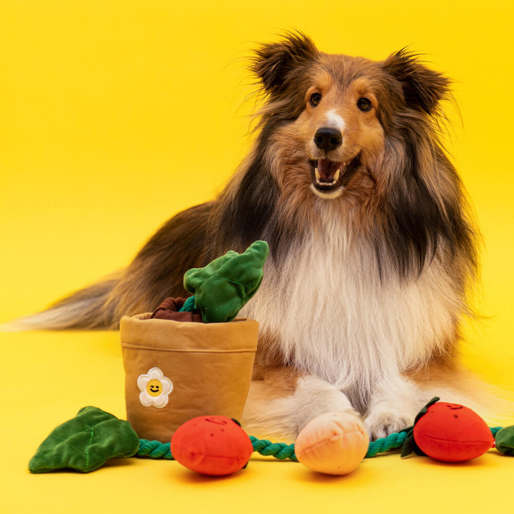 Juguete de peluche para perros chillones - Fresa en maceta