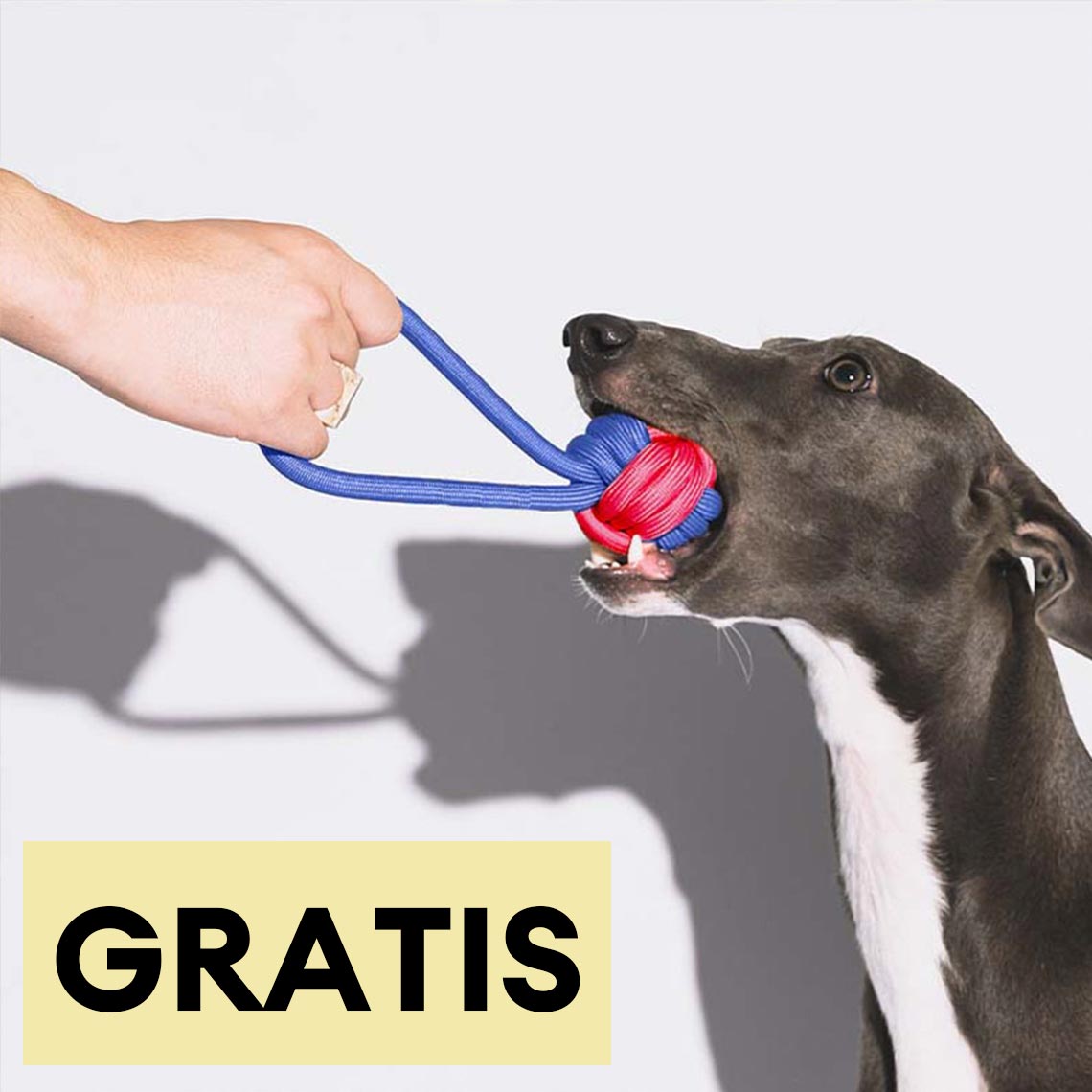 Juguete para perros Knots Rope Tug - Color Clash——Cantidad limitada