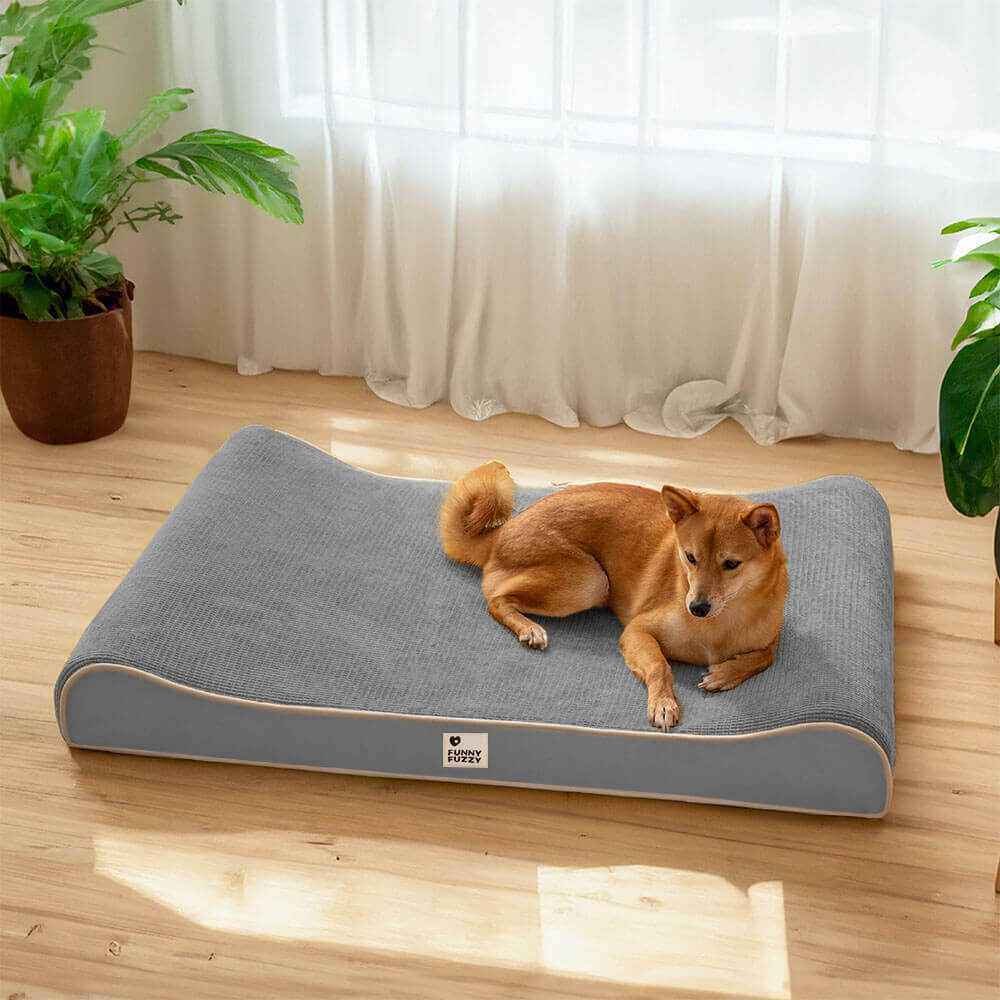 Lujosa cama ortopédica para perros Nobility Lounge Chair