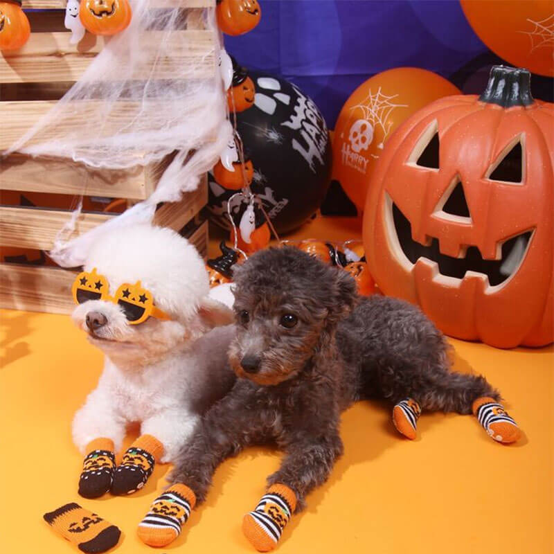 Decoración De Halloween Moda Calabaza Perro Gafas
