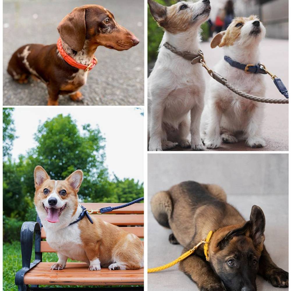 Conjunto de paseo para perros con correa y collar para cachorros de piel sintética tejido a mano