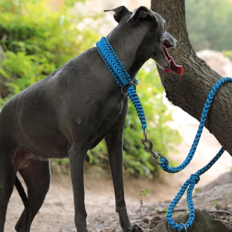 Collar y correa para perros grandes luminosos antitirones hechos a mano