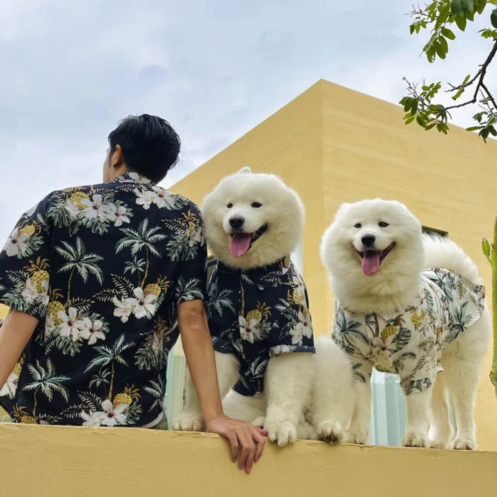 Camisa hawaiana a juego para ropa de perro y dueño
