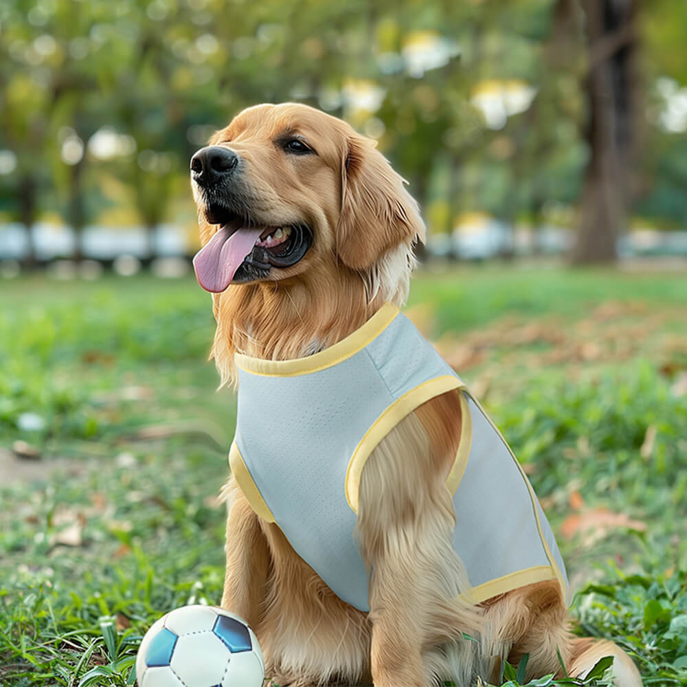 Ropa de enfriamiento de seda para perros, chaleco para perros con protección contra quemaduras solares