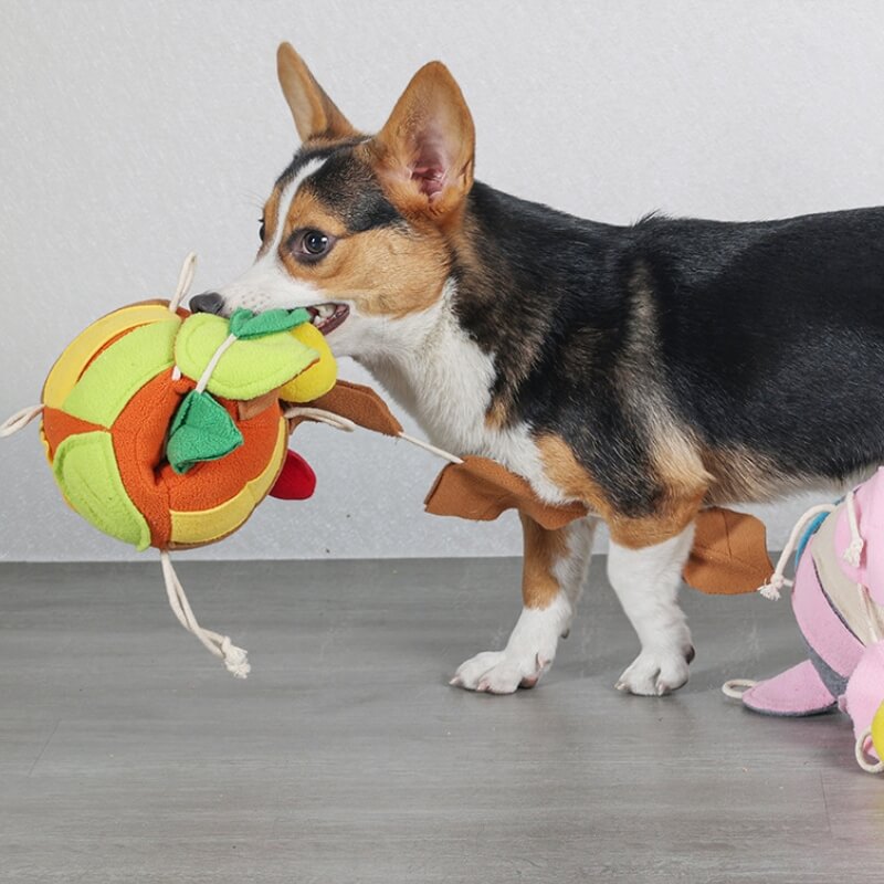 Rompecabezas interactivo juguete chirriante bola de hoja juguete dispensador de golosinas para perros