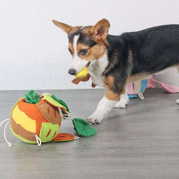 Rompecabezas interactivo juguete chillido boleta de bolas de bolas de perro