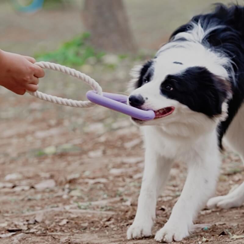 Juguete interactivo para perros de tira y afloja, juguete para masticar de goma con limpieza de dientes