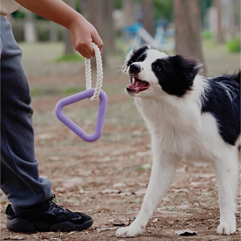 Juguete interactivo para perros de tira y afloja, juguete para masticar de goma con limpieza de dientes