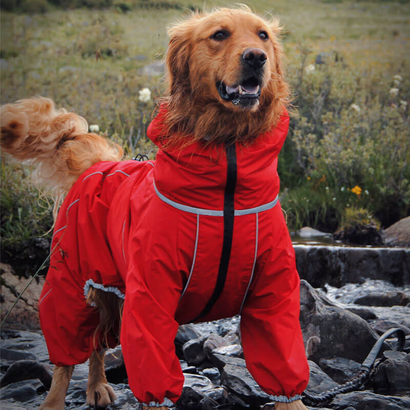 Chaqueta impermeable para exteriores para perros grandes, impermeable, ajustable, para lluvia