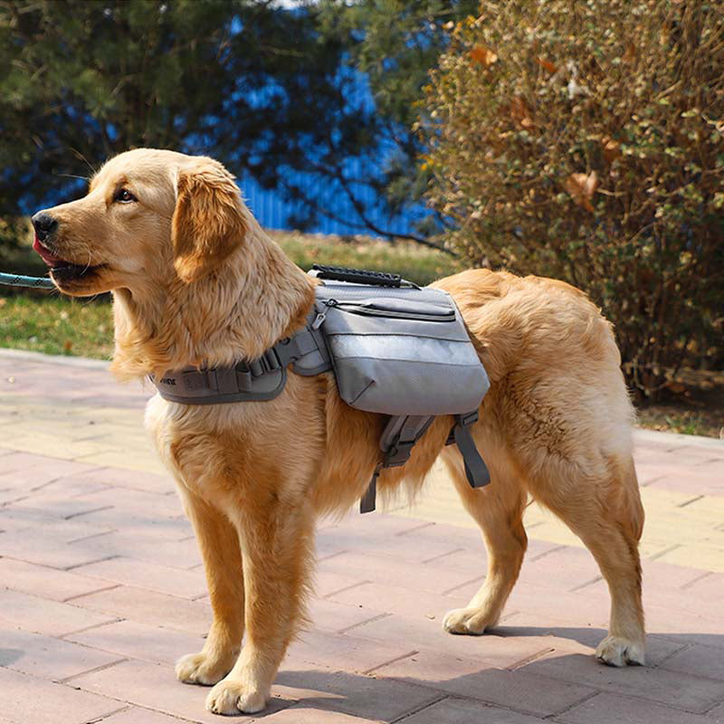 Arnés táctico para perros grandes Self-Pack