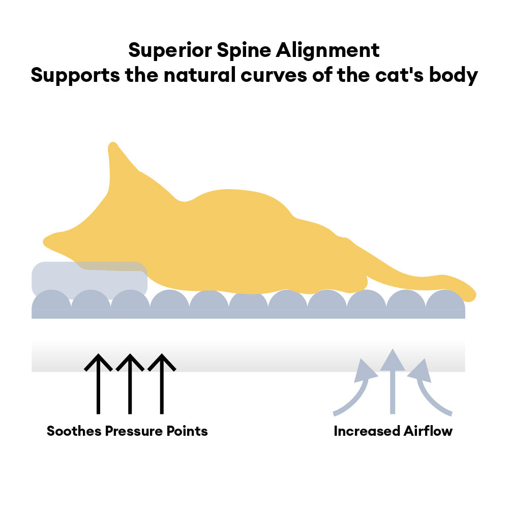 Gran cojín ortopédico para gatos con cabecera suave y con soporte - Nido Nubloso