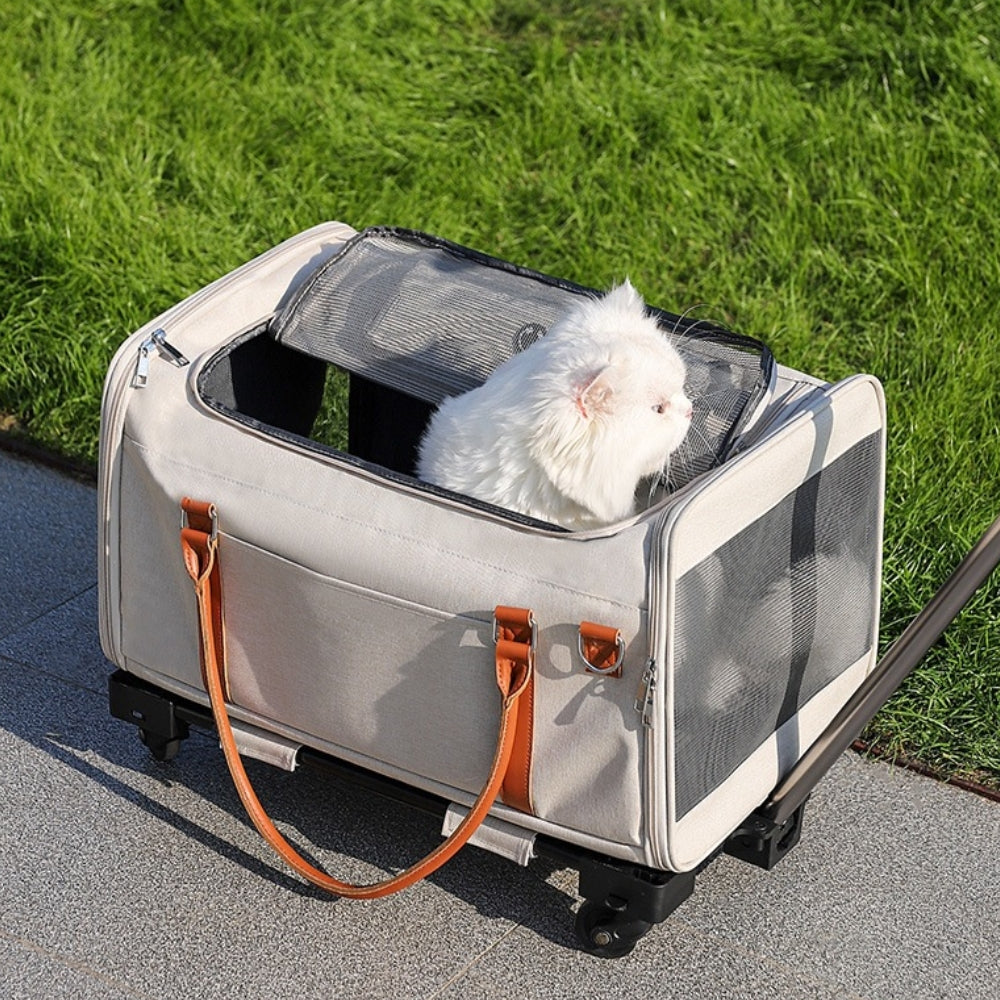 Carrito desmontable 2 en 1 multifuncional con ruedas, bolsa portátil para mascotas