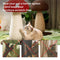 Poste de rasguño de sisal natural en forma de hongo para gatos grandes