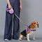 Nylon ajustable reflectante sin pulir arnés de perro y correa