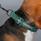 Nylon ajustable reflectante sin pulir arnés de perro y correa