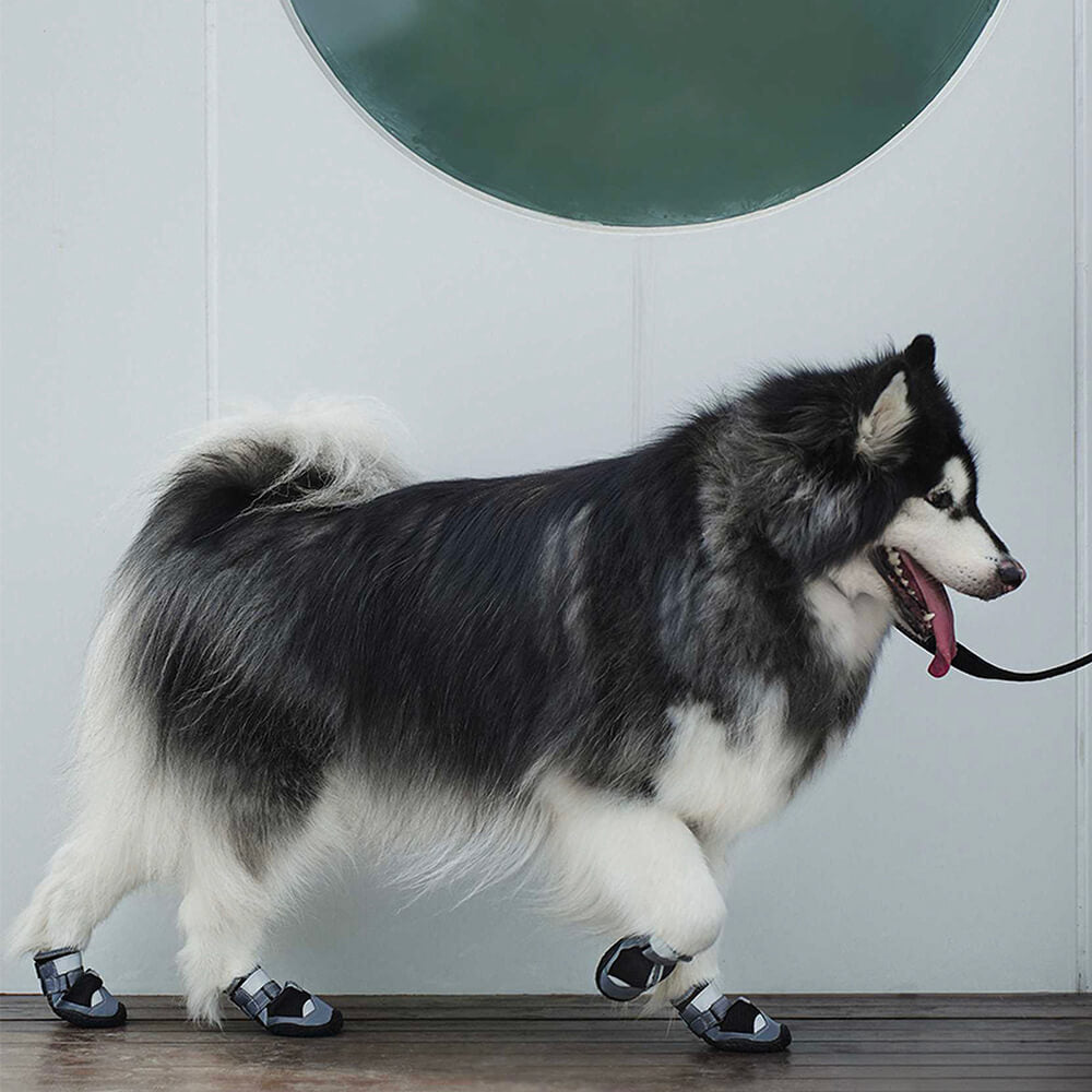 Botines al aire libre Senderismo Correr Botas antideslizantes para perros