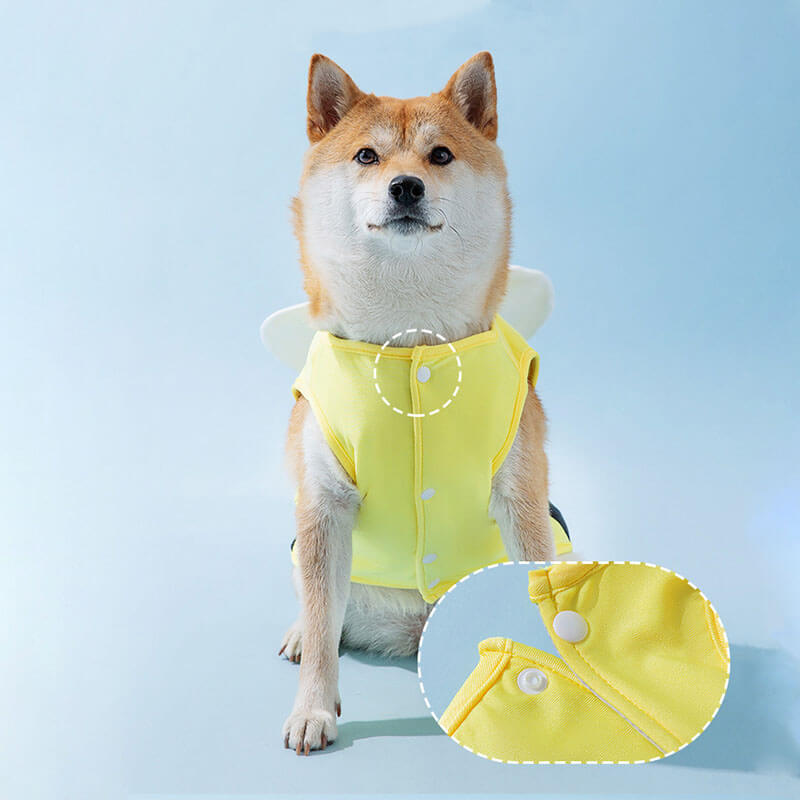 Deportes al aire libre ropa de protección solar para mascotas accesorios para perros geniales chaleco de enfriamiento
