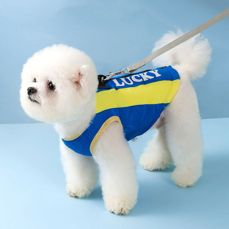 Deportes al aire libre ropa de protección solar para mascotas accesorios para perros geniales chaleco de enfriamiento