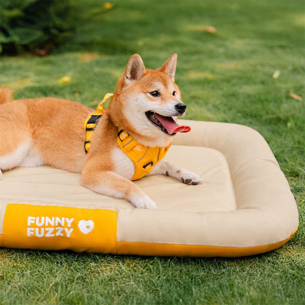 Manta ortopédica para perros resistente al agua y a los arañazos de colores bloqueados para exteriores - Trek Lounge