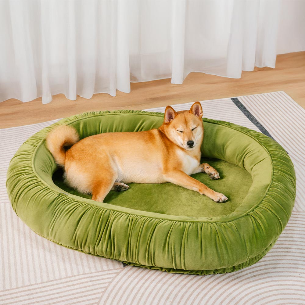 Cama desmontable para perros y gatos con soporte ortopédico ovalado y acogedora