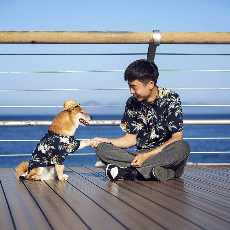 Camisa hawaiana a juego para ropa de perro y dueño