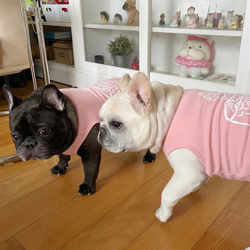 Conjunto de camisetas y chaleco para cachorros de color rosa a juego para perro y dueño